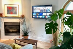 TV